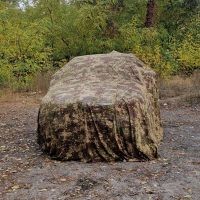 Varanus-steppe